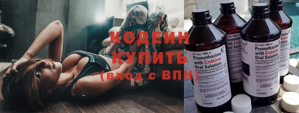 PSILOCYBIN Алзамай