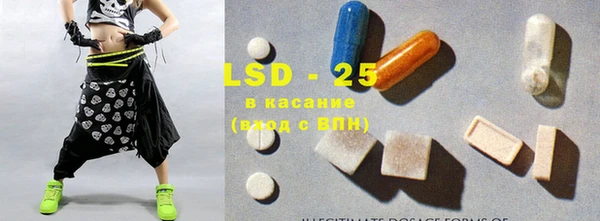 PSILOCYBIN Алзамай