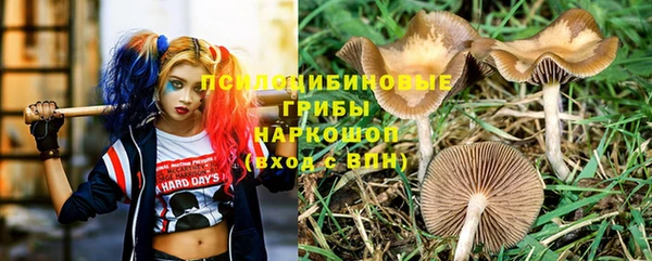 метадон Алексеевка