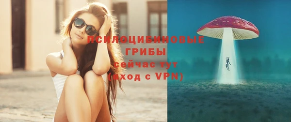 дживик Алексин
