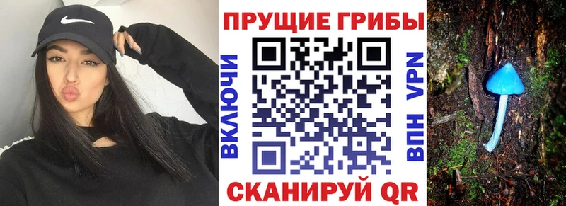 как найти закладки  Вихоревка  МЕГА зеркало  Псилоцибиновые грибы MAGIC MUSHROOMS 